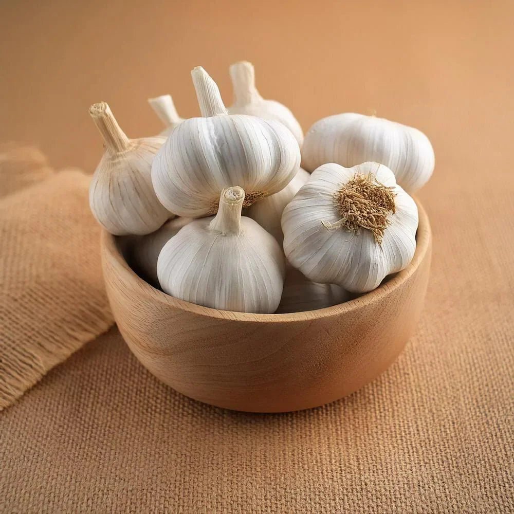 Garlic - Health N Wellness Shop