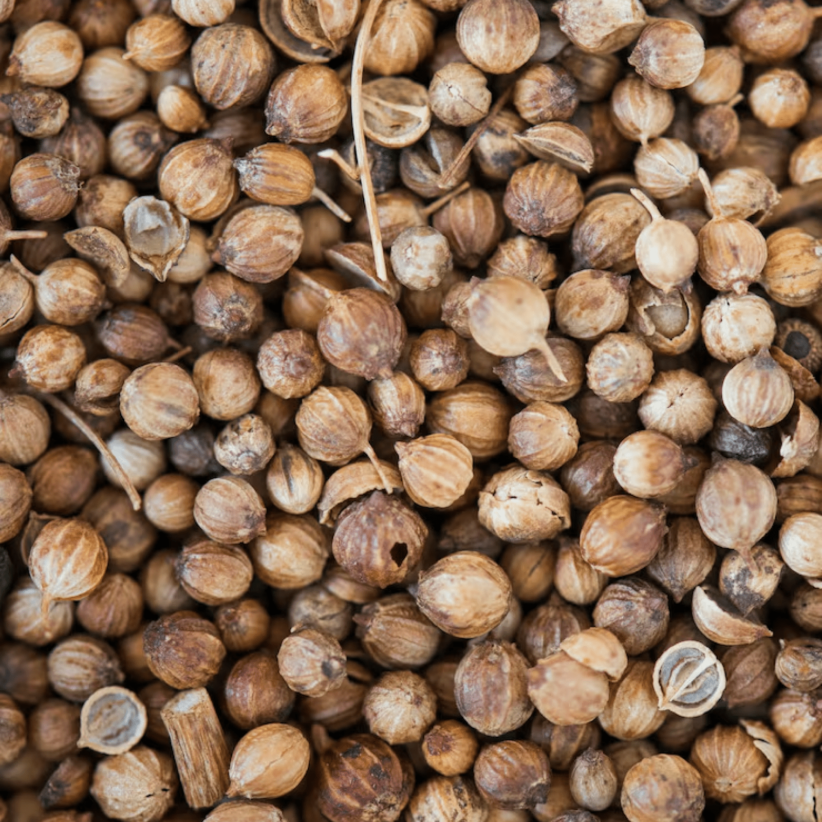 Jambul Seeds - Health N Wellness Shop