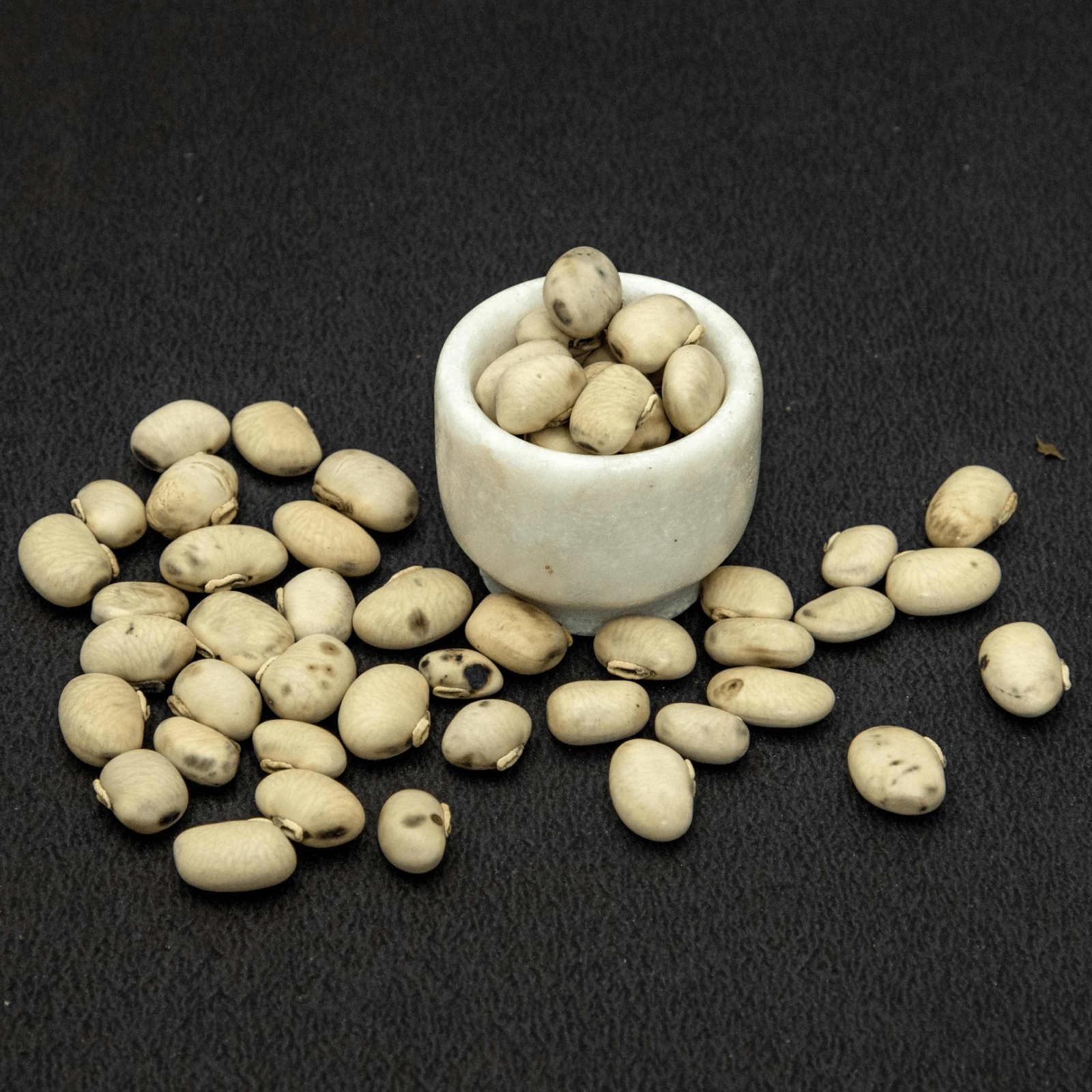 Kapikacchu - Health N Wellness Shop