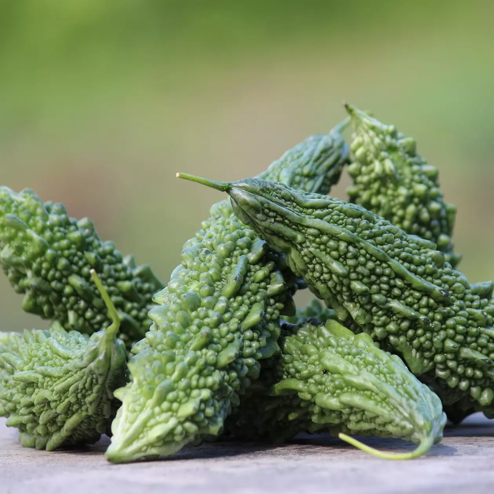 Karela
