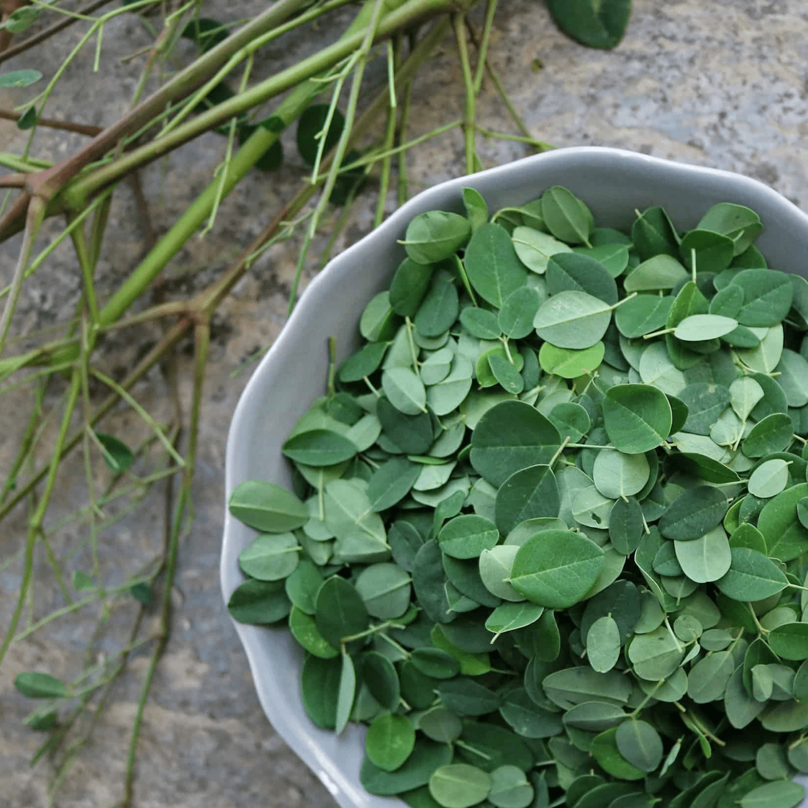 Moringa - Health N Wellness Shop