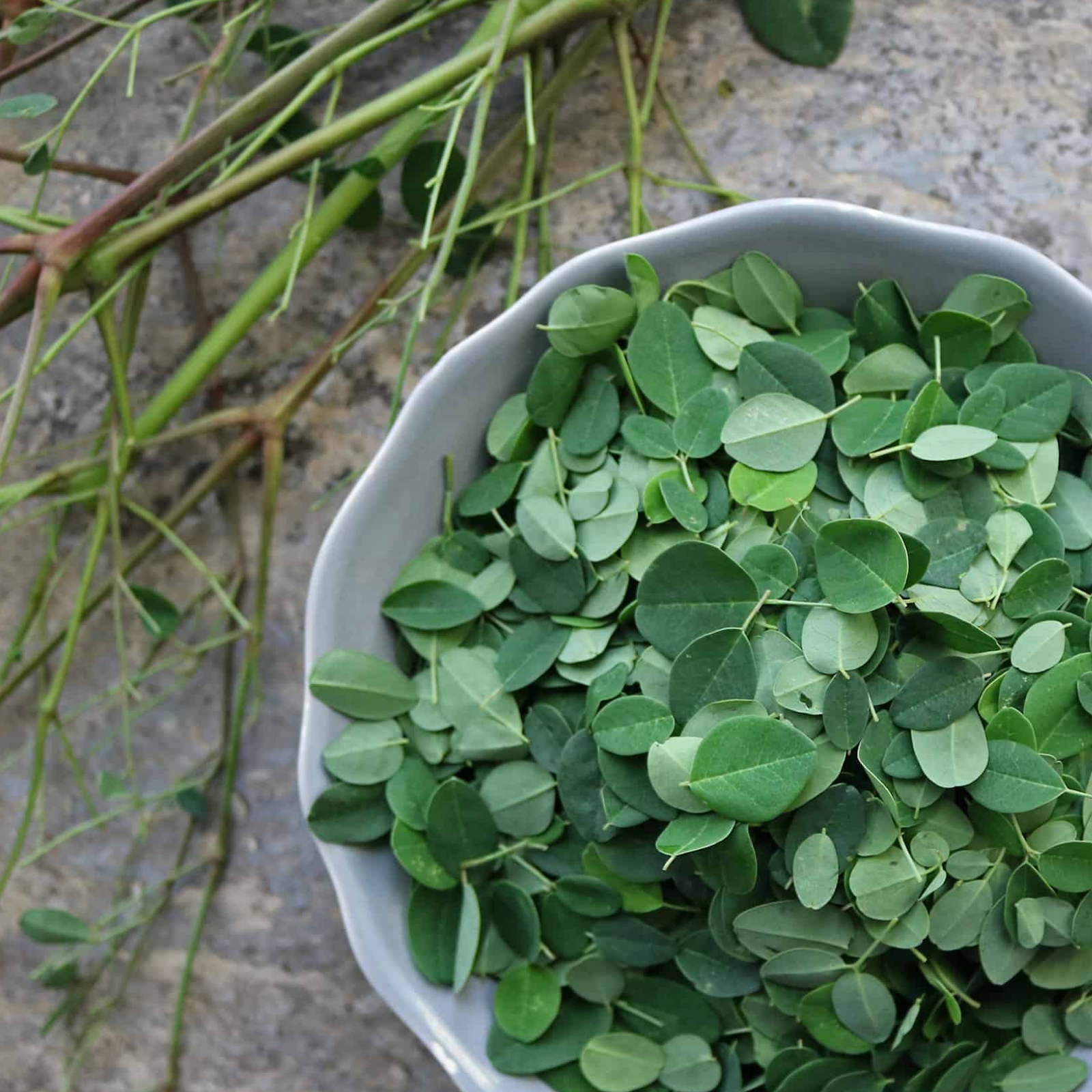 Moringa Leaves