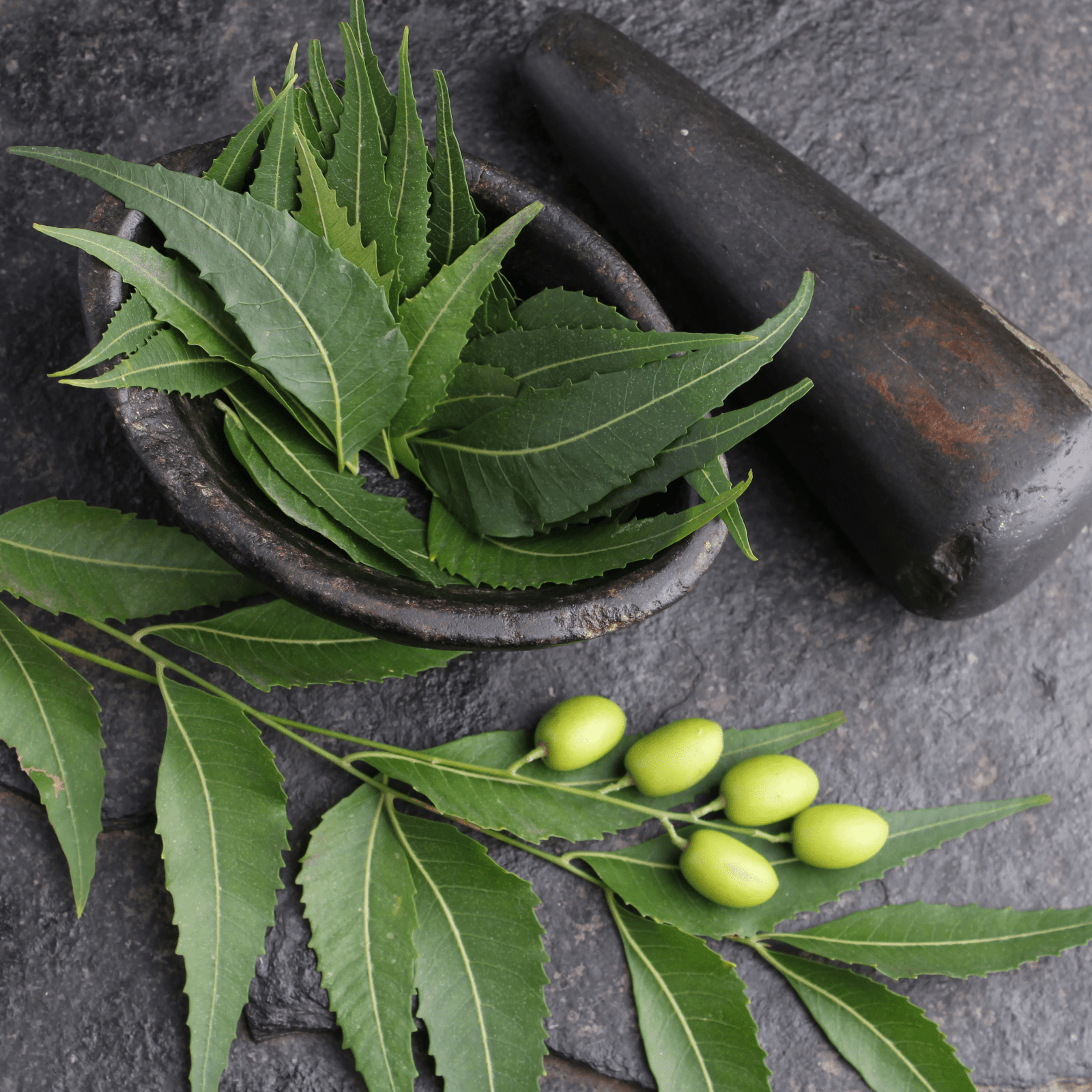 Neem - Health N Wellness Shop