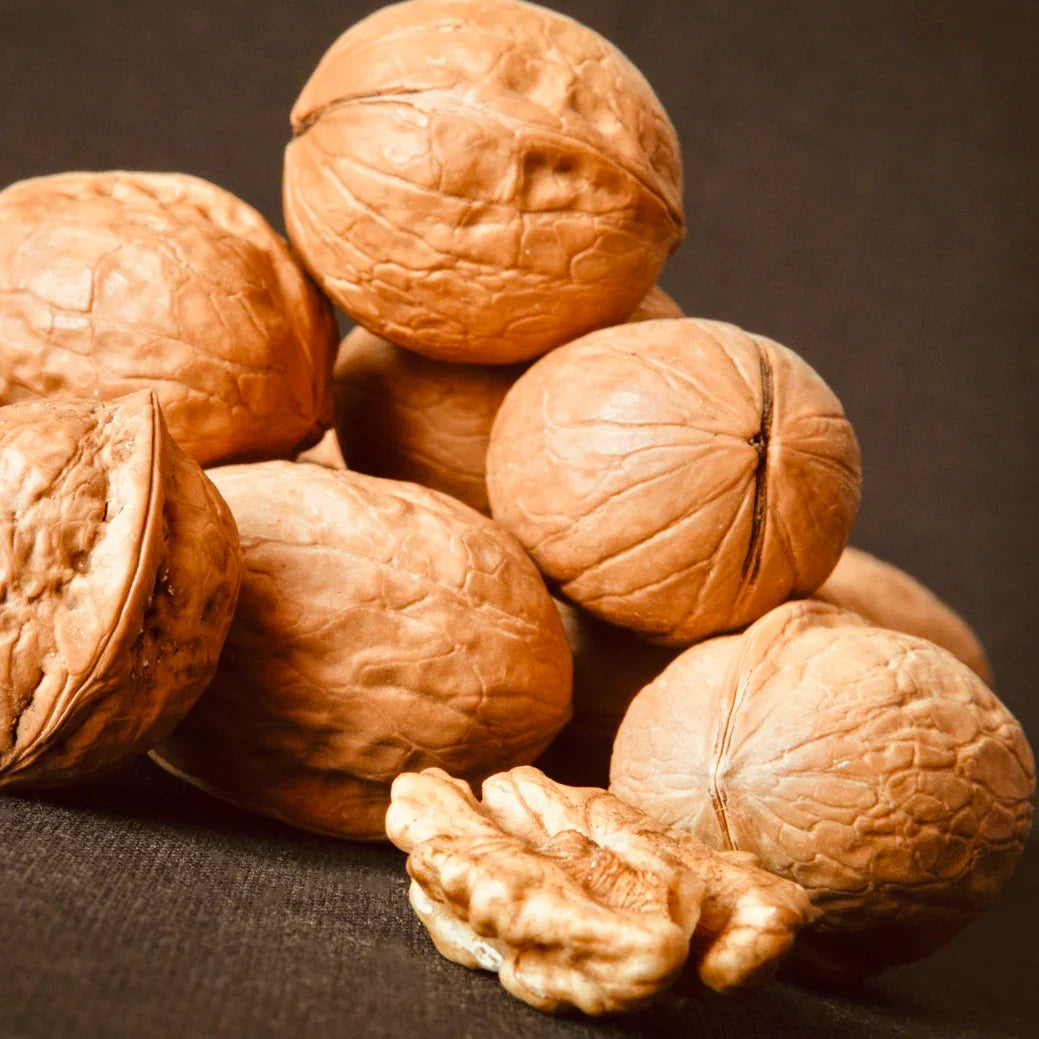Walnut Shell