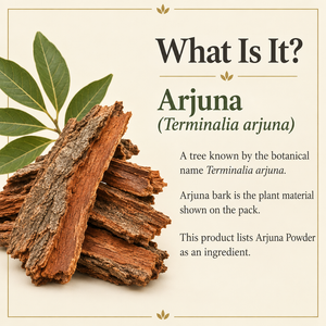 2 Arjuna education
