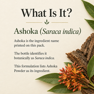 2 Ashoka education