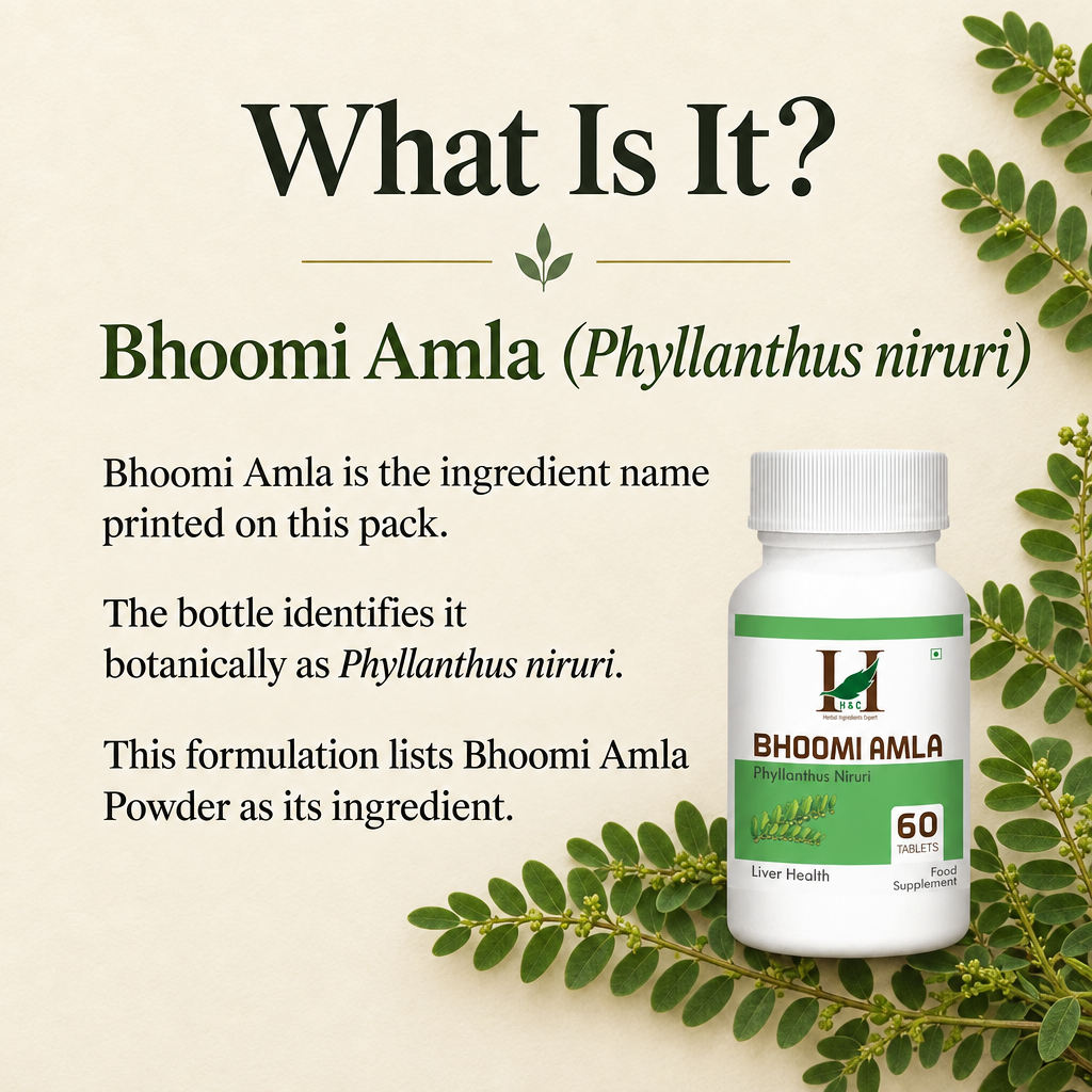 2 Bhoomi Amla education