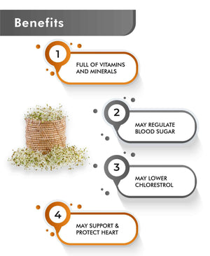Nutrient-rich alfalfa powder powder with fresh leaves