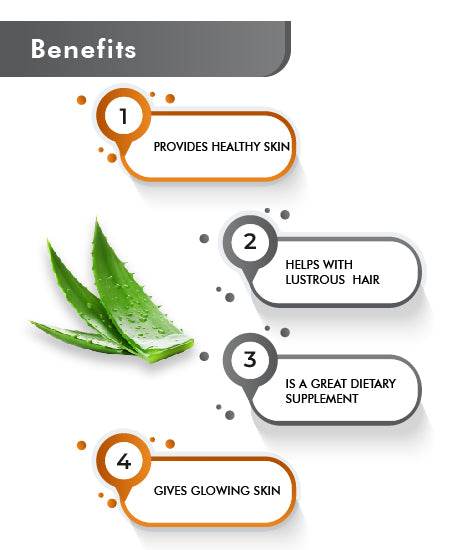 Herbal Aloe Vera powder capsules for wellness
