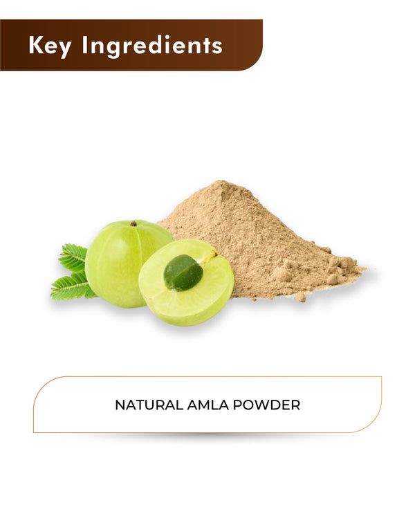 Natural Amla Powder - 100 gms