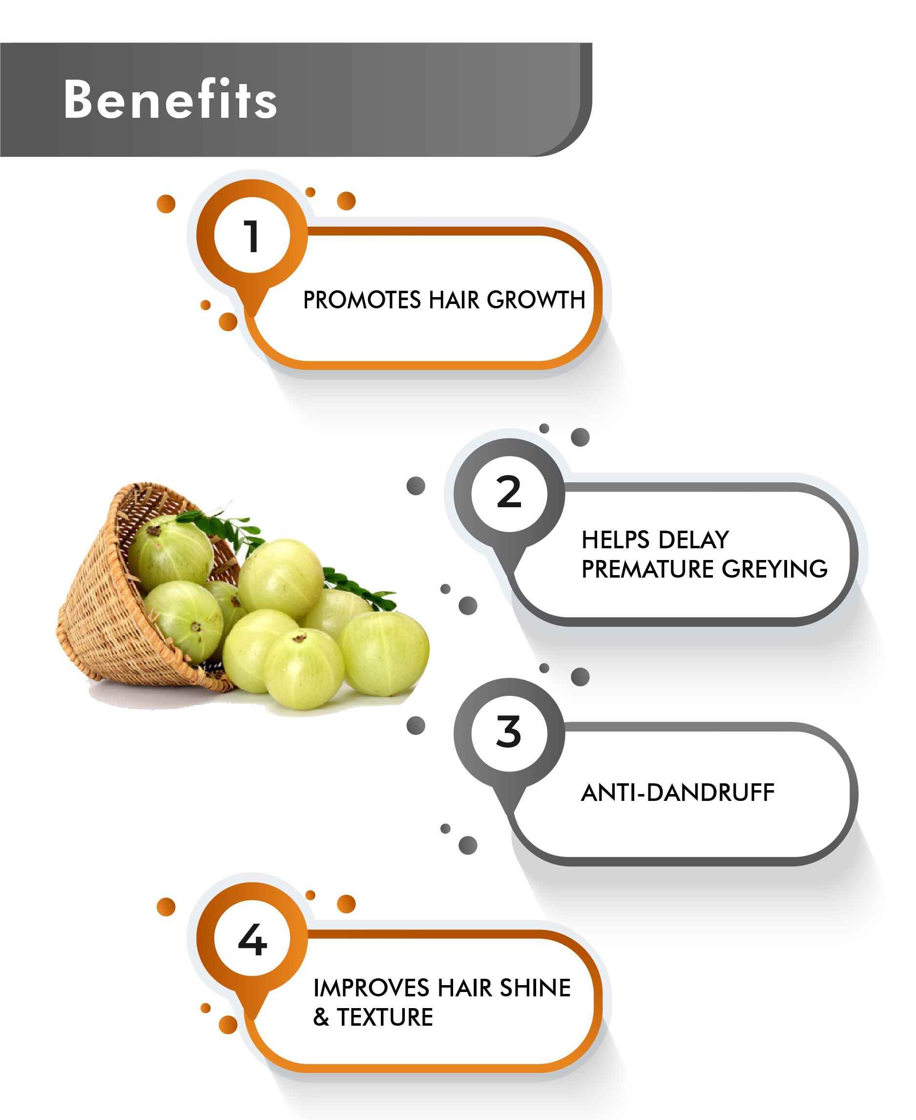 Ayurvedic Organic Amla supplement capsules