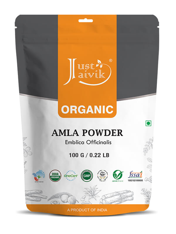 Just Jaivik Organic Amla Powder in 100g Pack