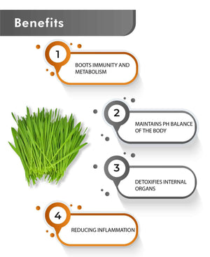 Vegan organic barley grass powder product