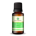 Korus Essential Basil Oil - 15ml (Pack of 2).
