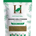 H&C Natural Bhoomi Amla Powder - 100gm (Pack of 3).