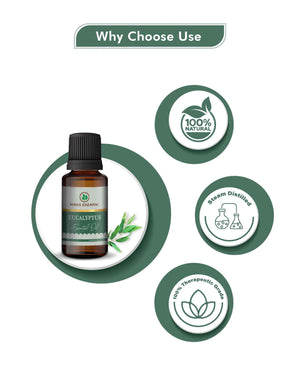 Korus Essential Eucalyptus (Nilgiri) - 15ml (Pack of 3).