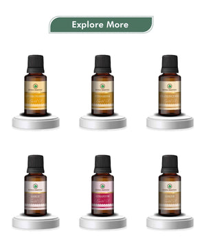 Korus Essential Eucalyptus (Nilgiri) - 15ml (Pack of 3).