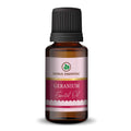 Korus Essential Geranium Oil - 15ml (Pack of 2).