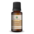 Korus Essential Ginger Oil - 15ml.