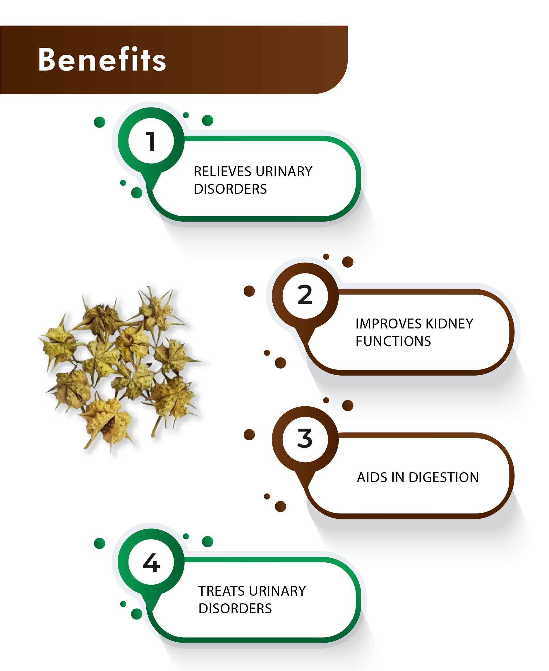 Ayurvedic stamina and vitality booster