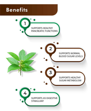 Natural Gymnema sylvestre extract tablets for metabolic health