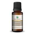 Korus Essential Jasmine Oil - 15ml (Pack of 2).