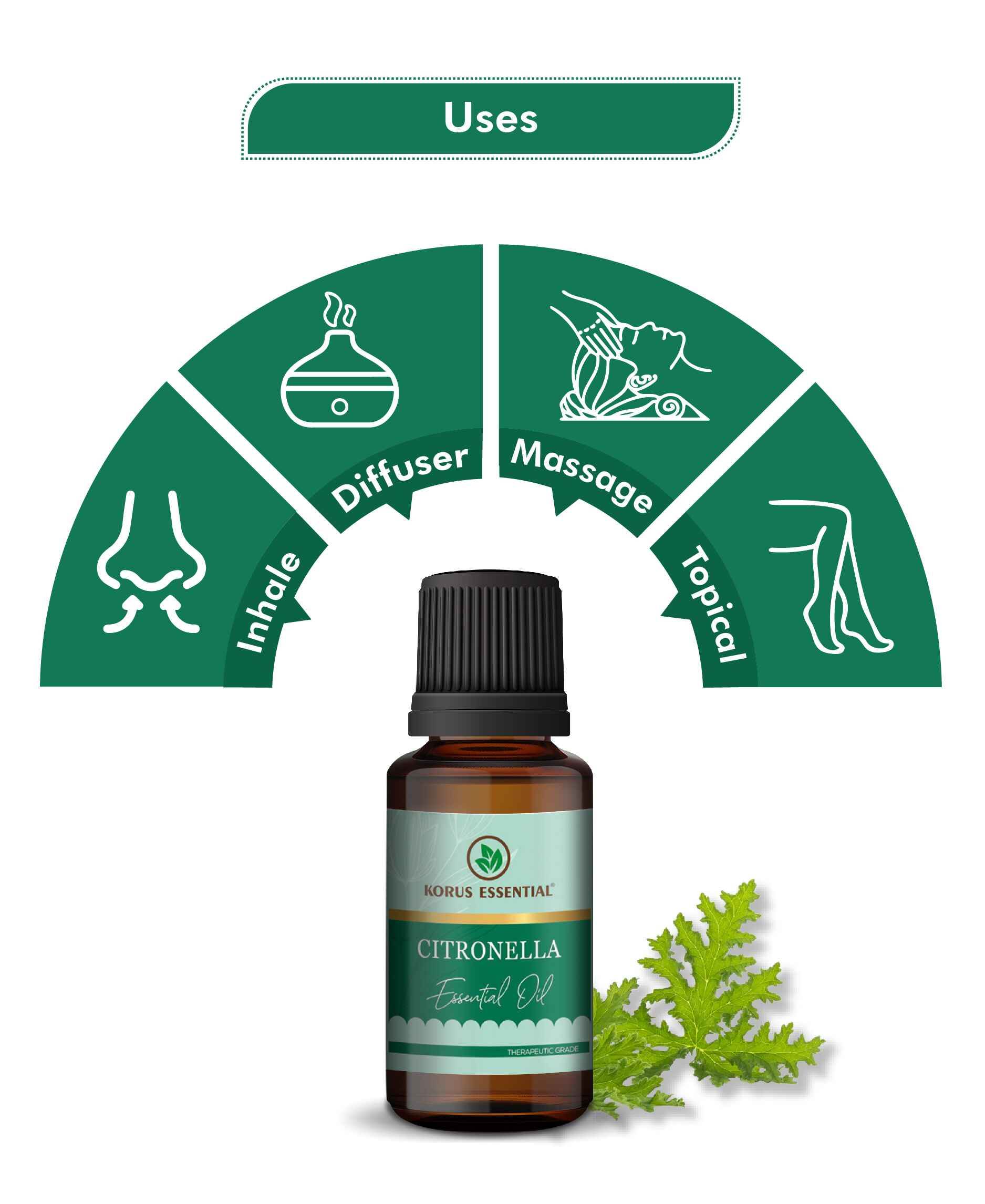 Korus citronella oil with lemony fresh aroma