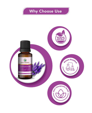 Korus Essential Lavender Oil - 15ml (Pack of 2).