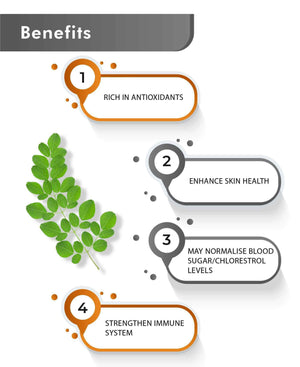 Moringa powder for immunity and energy