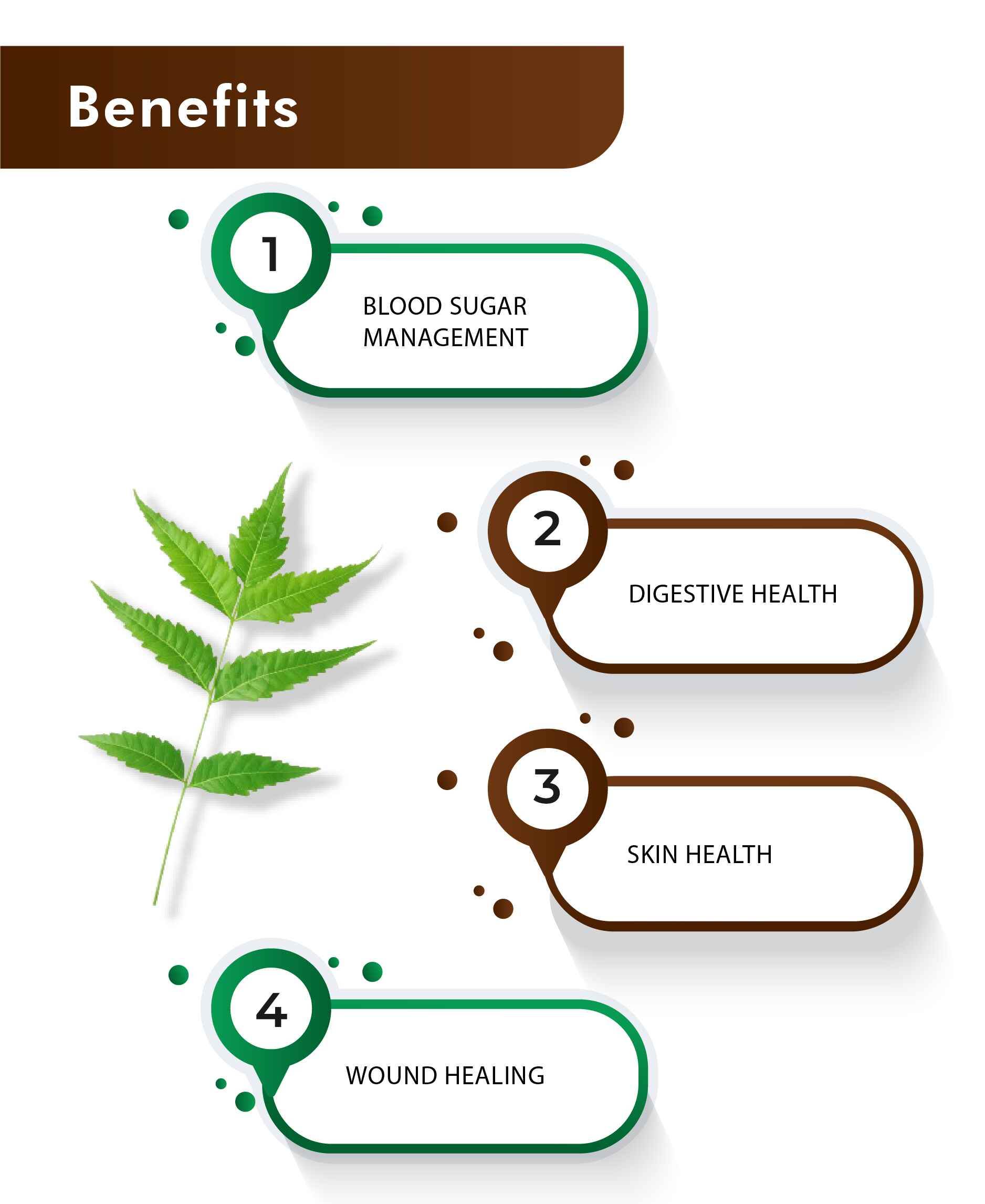 H&C Neem Tablet with Azadirachta indica leaves