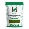 H&C Natural Papaya Leaves Powder 100gm - Digestive Wellness & Platelet Support
