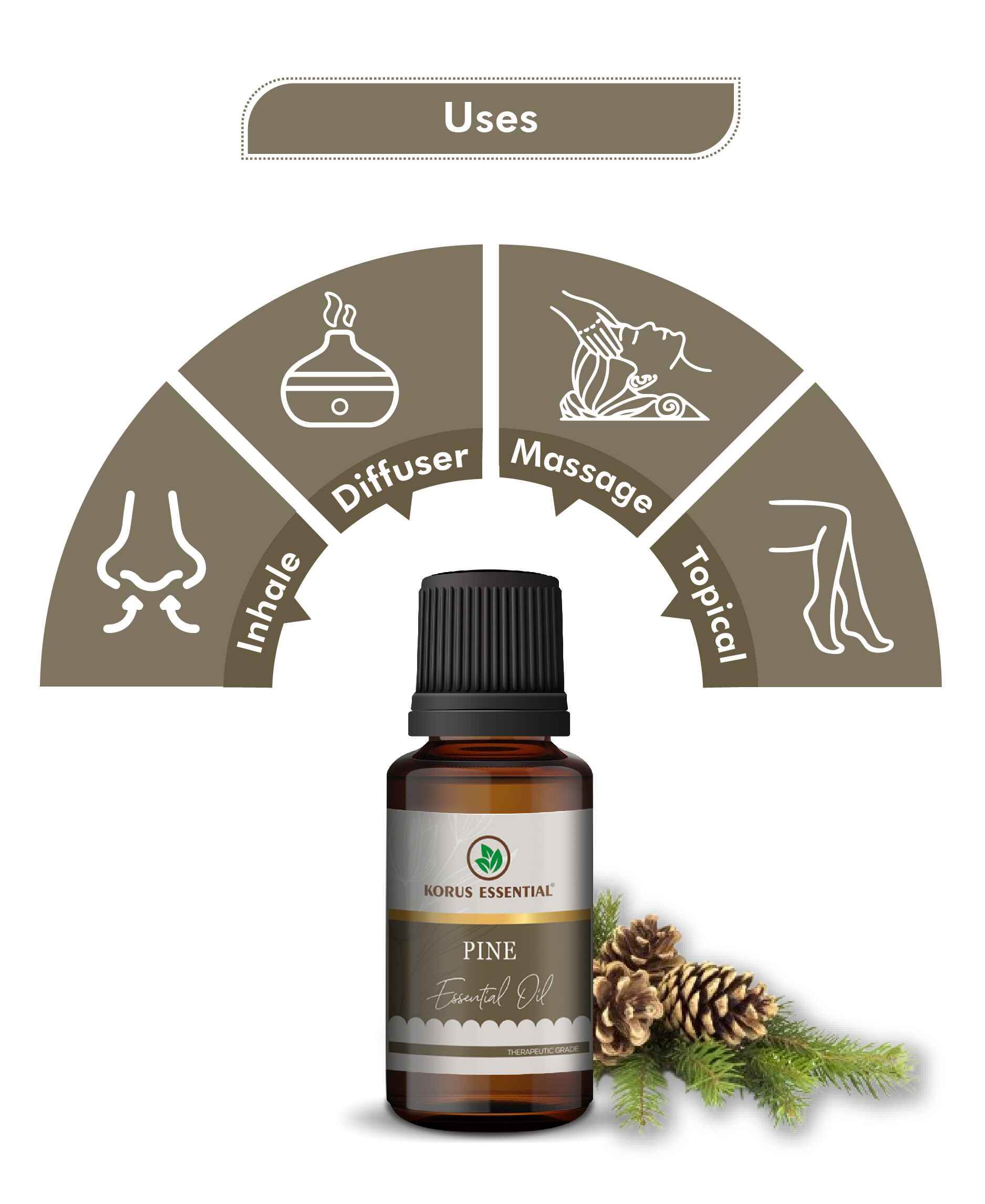 Korus Essential Pine Essential Oil - 15ml (Pack of 3).