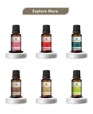 Korus Essential Pine Essential Oil - 15ml (Pack of 3).
