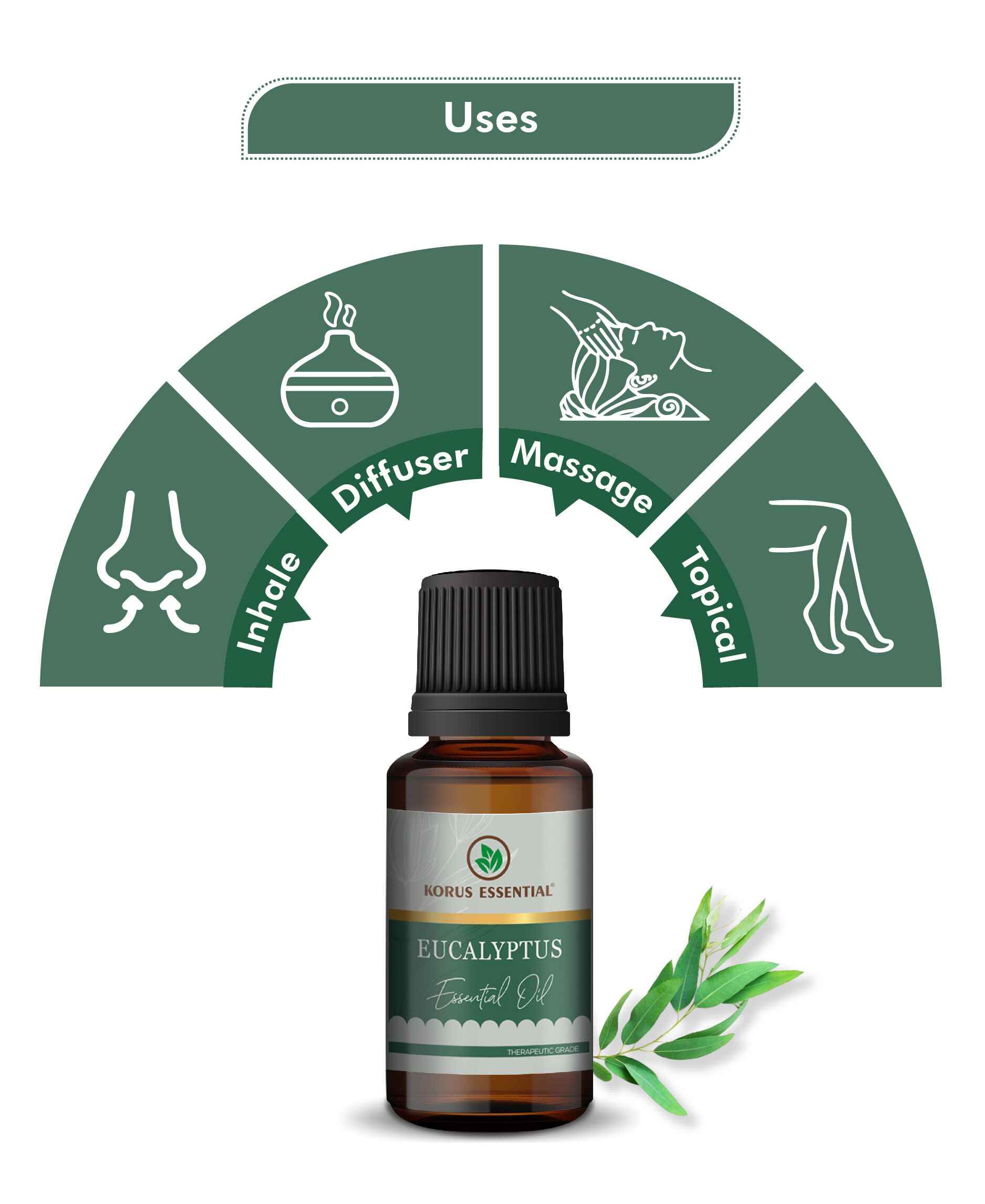 Pure eucalyptus essential oil for muscle relief and headache