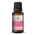 Korus Essential Rose Oil - 15ml (Pack of 2).