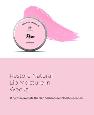 Korus Essential Rose Lip Balm with Shea Butter - 8gm (Pack of 2).