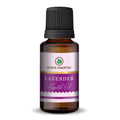 Therapeutic grade Korus essential lavender oil bottle
