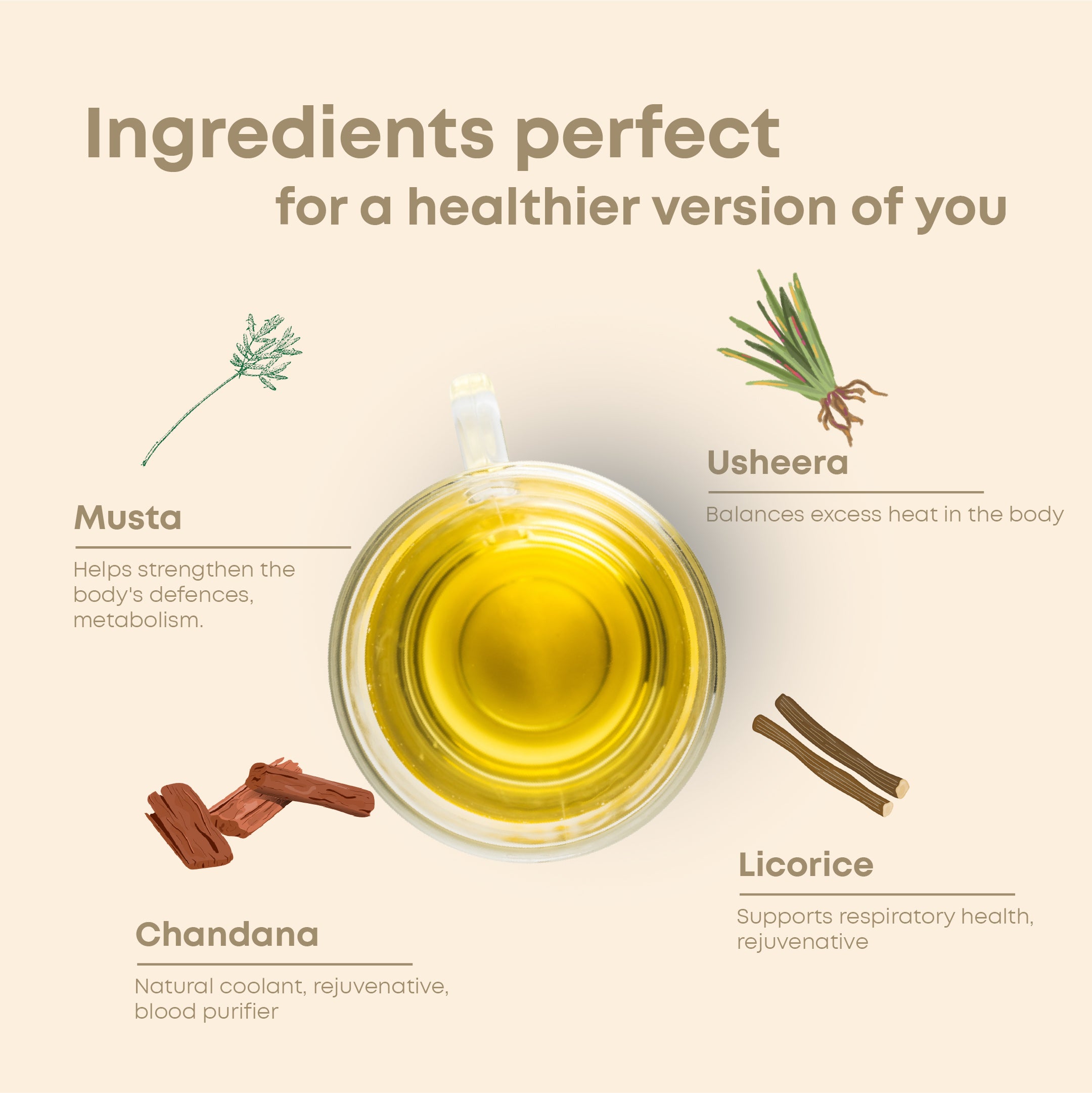 Wellnessbrew Herbal Tea - 100 gm By Shivamastu Ayurveda