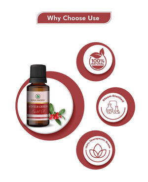 Korus Essential Winter Green Oil - 15ml (Pack of 3).