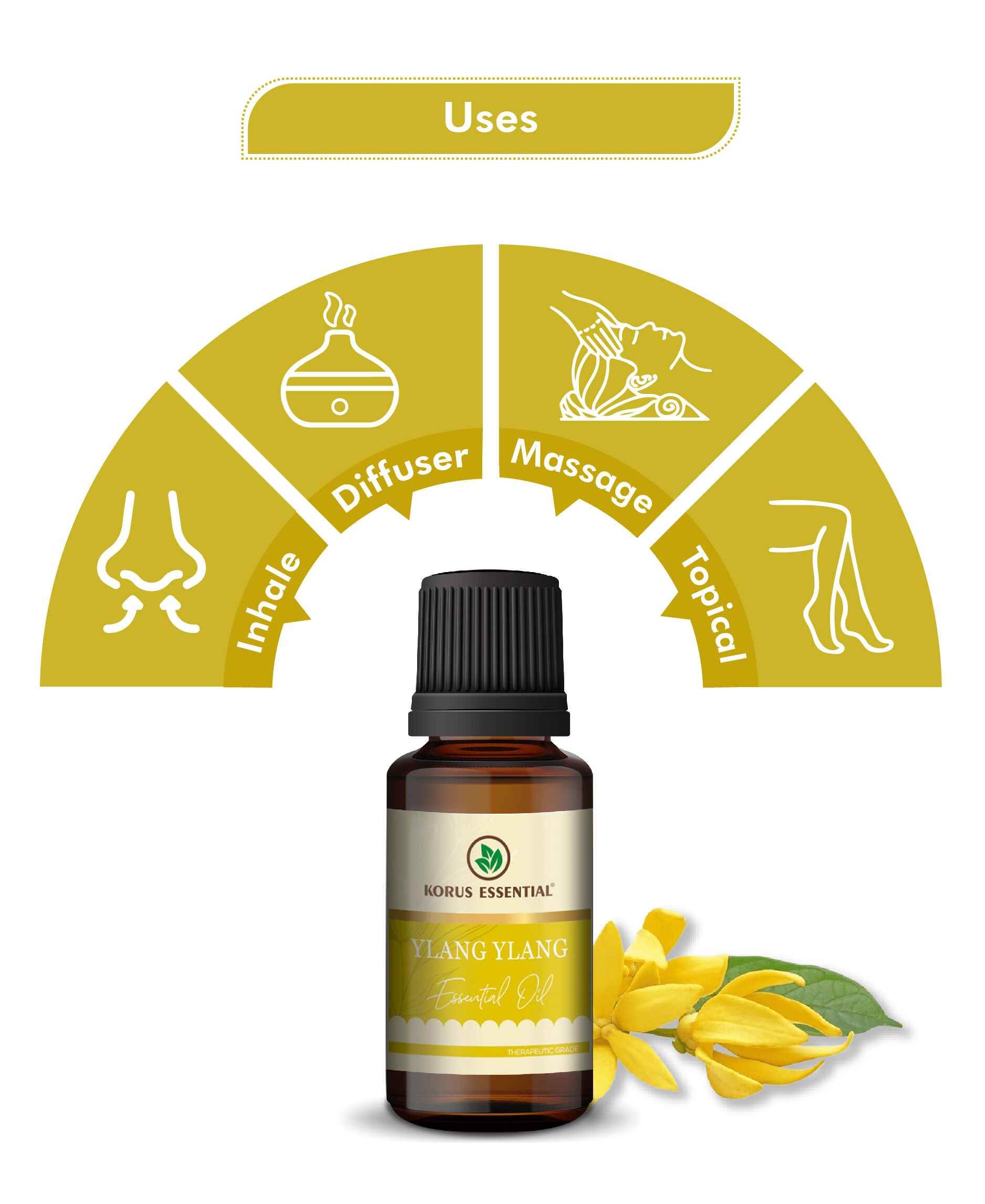 Korus Essential Ylang Ylang Oil - 15ml (Pack of 2).
