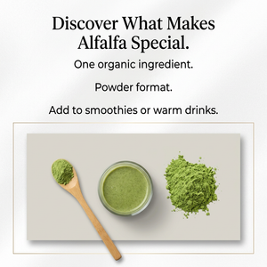 Alfalfa image 2