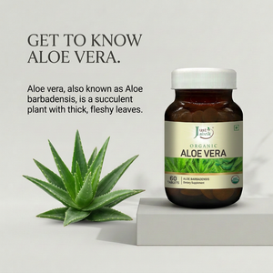 Aloe Vera botanical story