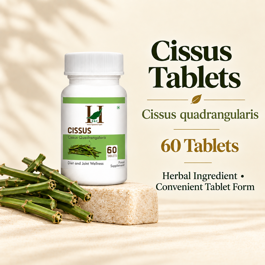 Cissus 1