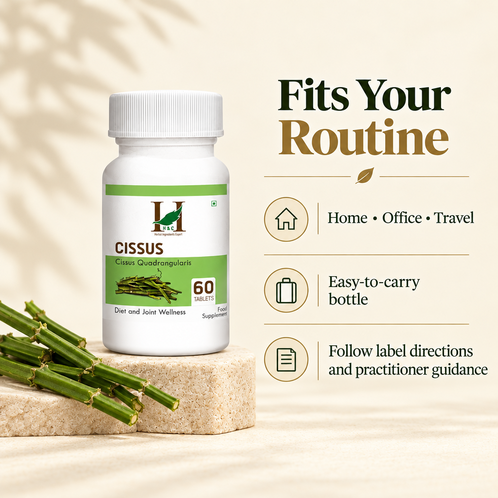 Cissus 6