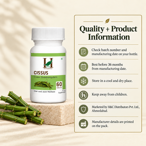 Cissus 7