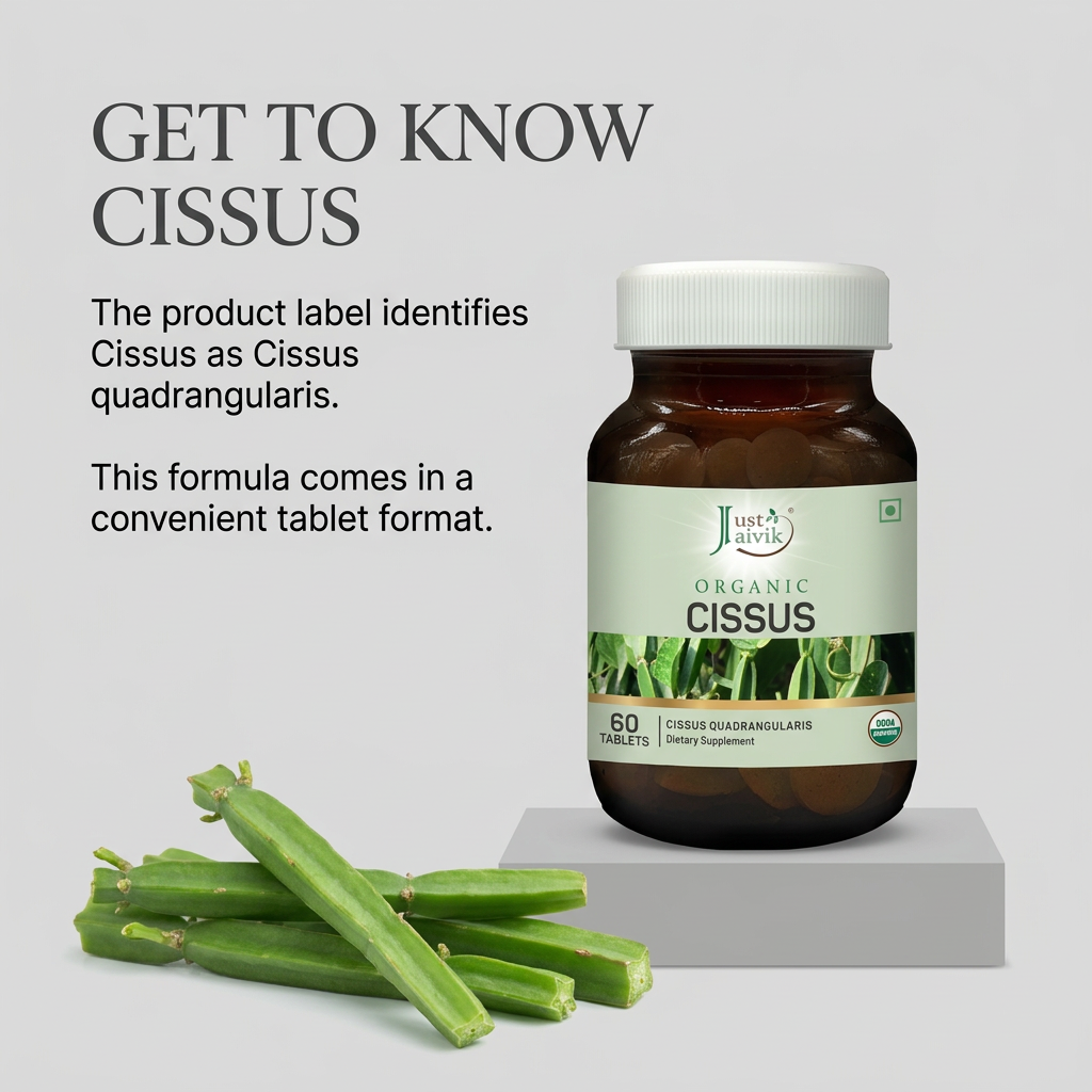 Cissus image 3