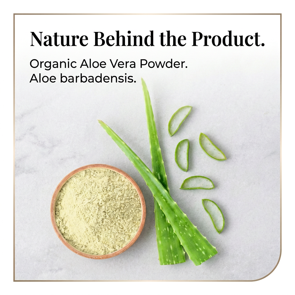 Corrected Aloe Vera image 3