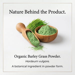 Corrected Barley Grass image 3