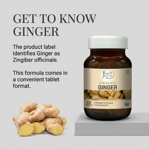 Ginger image 3