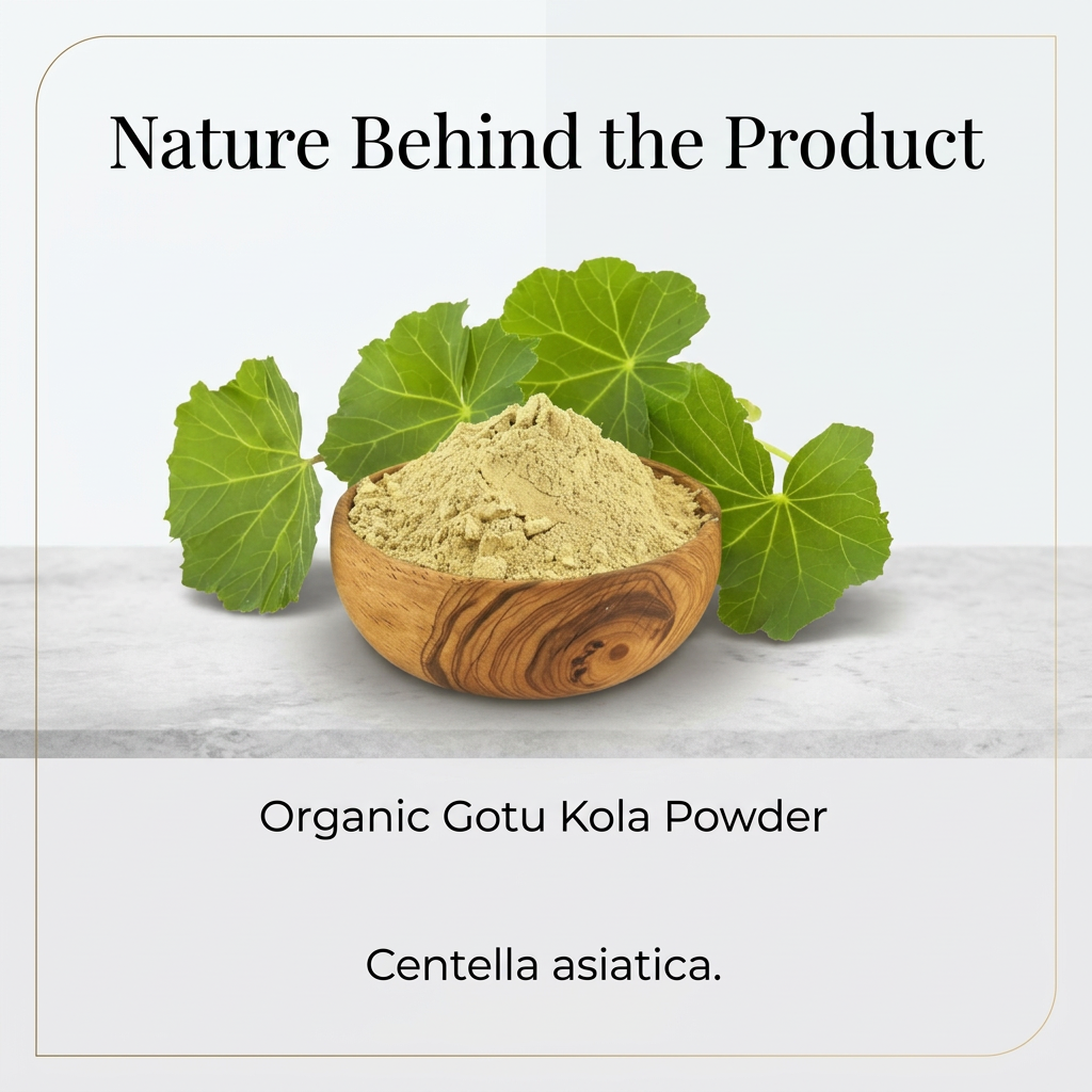 Gotu Kola image 3